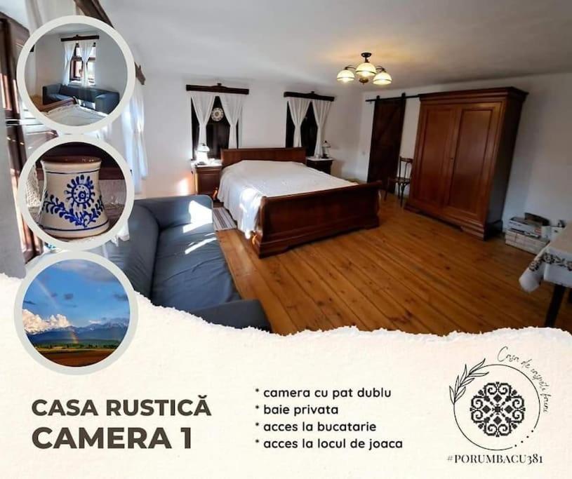 Porumbacu381 - Faini Country house