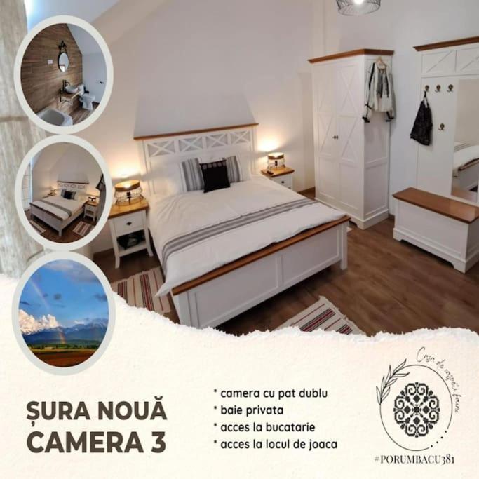 Country house Porumbacu381 - Faini *
